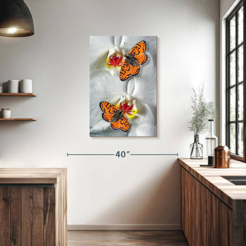 Duo papillon orange Brampt, H 36 po x l 24 po