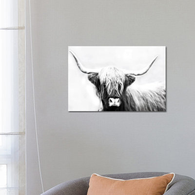 Highland Longhorn by Danita Delimont - Print on Canvas