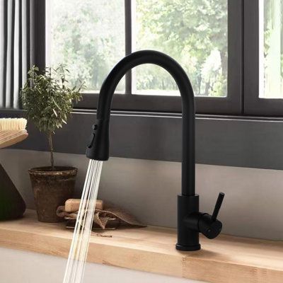 NOVEL Pull Out Kitchen Faucet