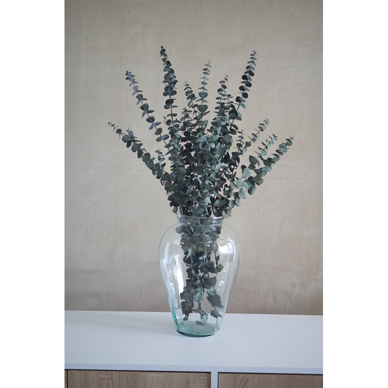 Preserved Green Eucalyptus, Green