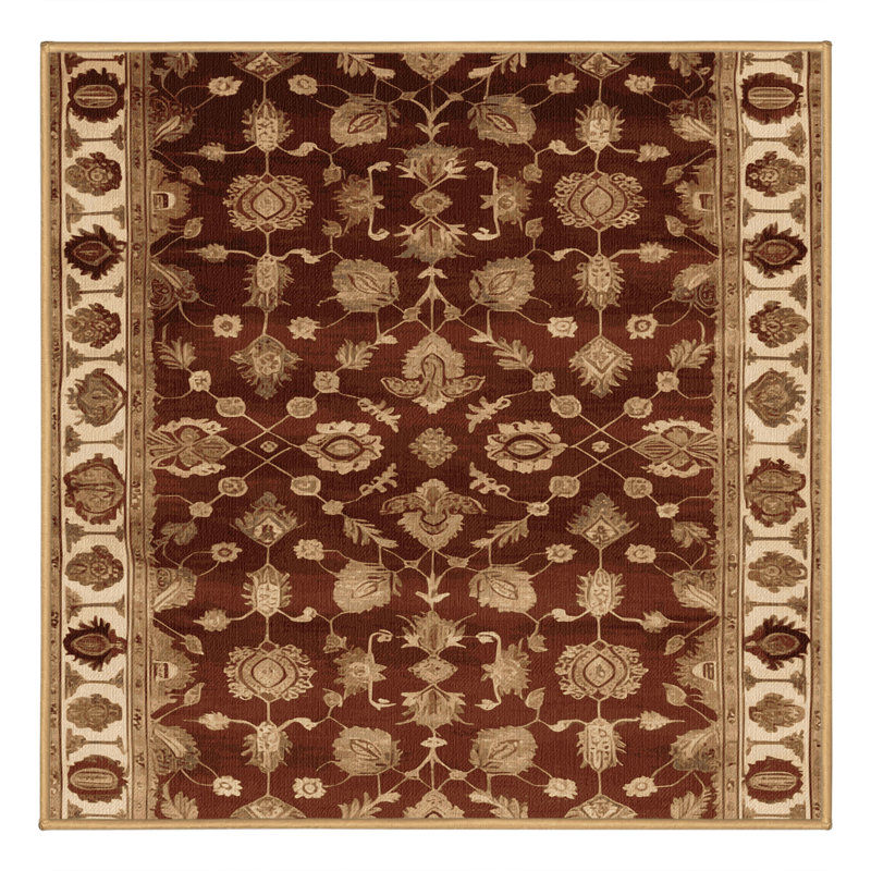Tapis brun turc lavable à la machine, Square 5'