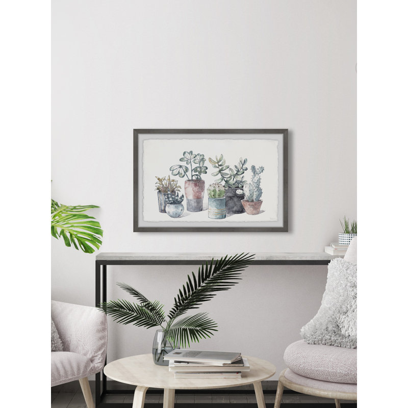 Succulent In Display Planters by Parvez Taj - Single Picture Frame Painting, 20cmH x 30cmW