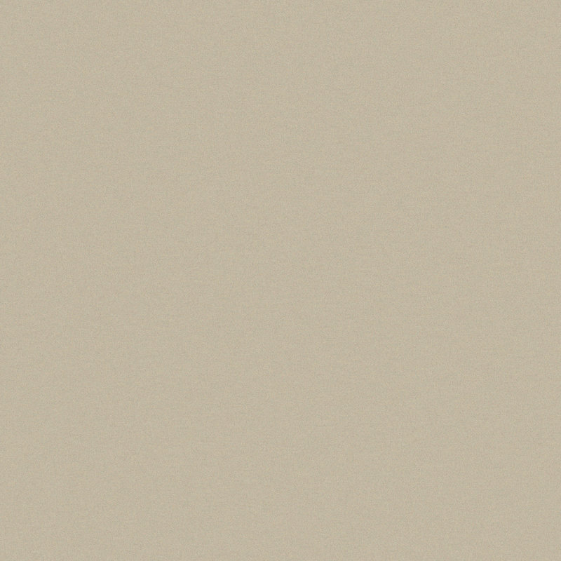 Porte de sécurité Classic Classic en aluminium français avec moustiquaire en métal perforé noir, Beige, Vers la droite