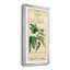 Linnaean Botany VI - Peinture sur toile encadrée-1715690448-1715690450