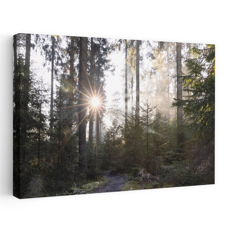 Art contemporain contemporain, paysage de forêt abstrait, H 16 po x l 24 po