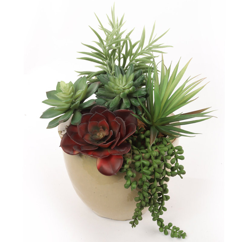 Plante grasse artificielle
