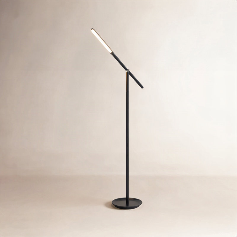 Dris 54'' LED Task Floor Lamp, Black