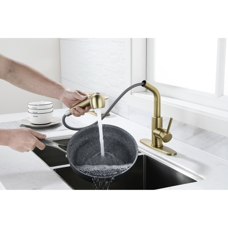 Dual Spray Single Pull-Out Laundry Faucet In Spot Gold Stainless, 360 Rotating High Nozzle, Simple Temperature And Flow Adjustment, Corrosion Surface Function Sink Water Easy To , Rust Design