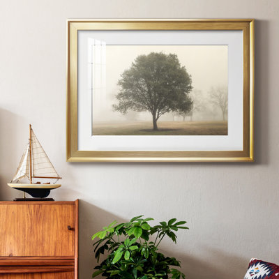 «Trees In The Fog I», reproduction encadrée de qualité supérieure - prête à être accrochée