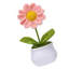 10 pièces de pots de fleurs en crochet faits à la main en forme de tournesol et de plantes artificielles tricotées de 6 cm de large pour les employés