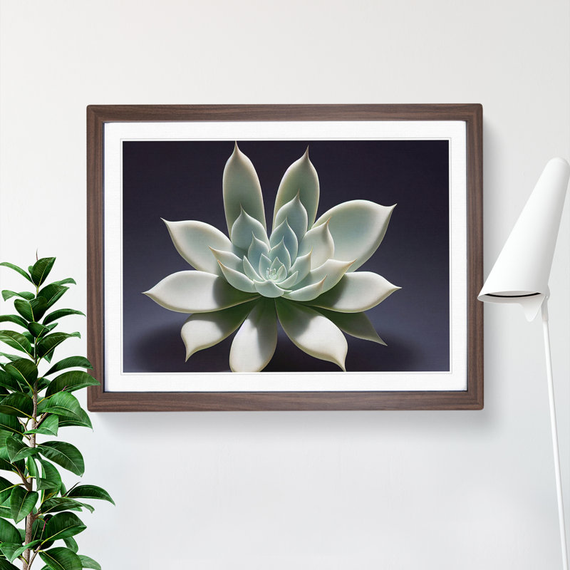 Exquisite Succulent Plant 1 Piece Single Picture Frame Wall Art, 25cm H x 34cm W x 2cm D, Walnut