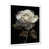 Cadre simple blanc