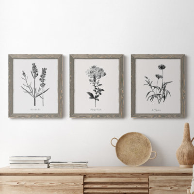 " Simply Imperial " 3 - Pieces