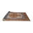 Oriental Indoor Rug-227634432