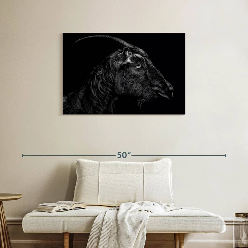 Monochrome Horned Goat, 24" H x 36" W