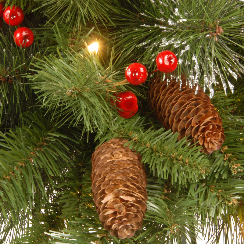 Crestwood Spruce Wreath with LED Lights, 24"