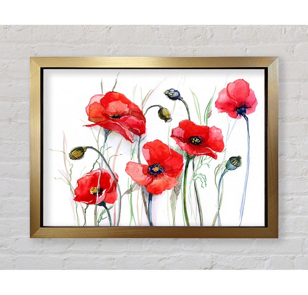 Mohn Magic Skies - Druck