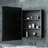Cyrille Recessed & Surface Framed Medicine Cabinet with Mirror and Shelves-860957891-819396606
