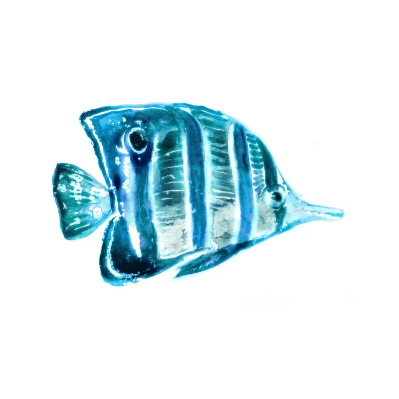 Fish III by Edward Selkirk - No Frame Print on Canvas, 45.72 cm H x 45.72 cm W x 3.175 cm D