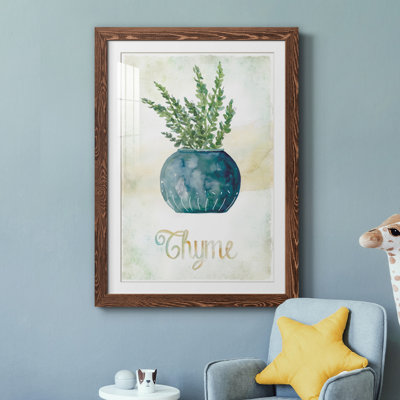 Thym en pot - peinture