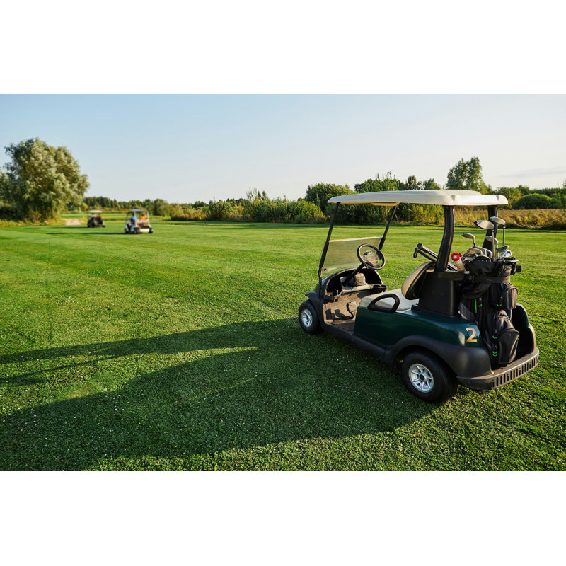 Voiture de golf avec massues, L 12 po x H 8 po