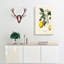 Illustration of A Lemon Tree - Wall Art-89191329-89191330