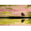 Parvez Taj - Wrapped Canvas Print-16672572