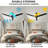 Torrie Ceiling Fan