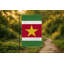 Drapeau du Suriname — Drapeau d'extérieur