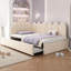 Upholstered Single (3') Velvet Daybed-1677831071