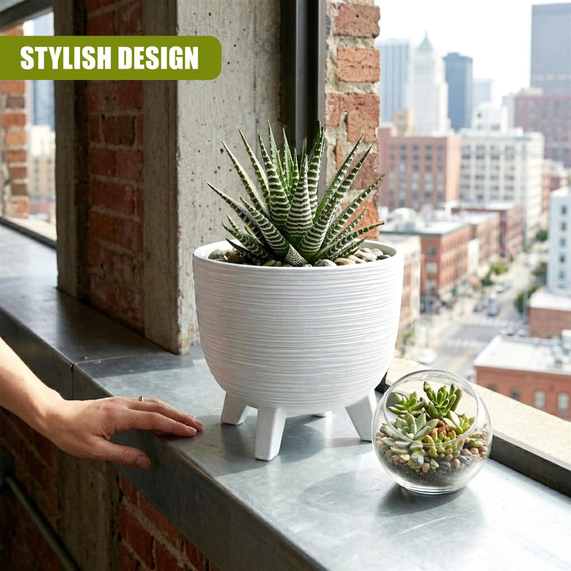 Pot Planter, White, 24cm H x 29cm W x 29cm D
