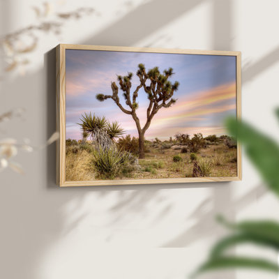 Joshua Tree Sunrise -Framed Print - Restickable