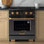 30 in. 4.2 cu. ft. 4 Burners Dual Fuel Range with Kucht Horus Thermostat-1715239305-1809821347