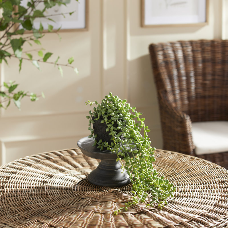 26'' Faux Succulent Plant in Planter