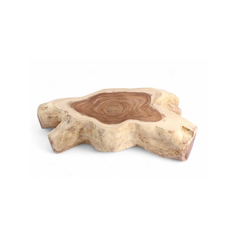 Table basse Nature
