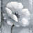 Gray & White Flowers Tablecloth | Modern Indoor Outdoor Decor
