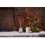 Rose Mint Diffuser-912583408