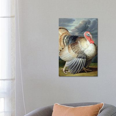 Portrait d'une dinde - reproduction d'art sur toile tendue