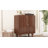 Fuerte Accent Cabinet-602313841