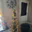 Customer photo 1 of 2