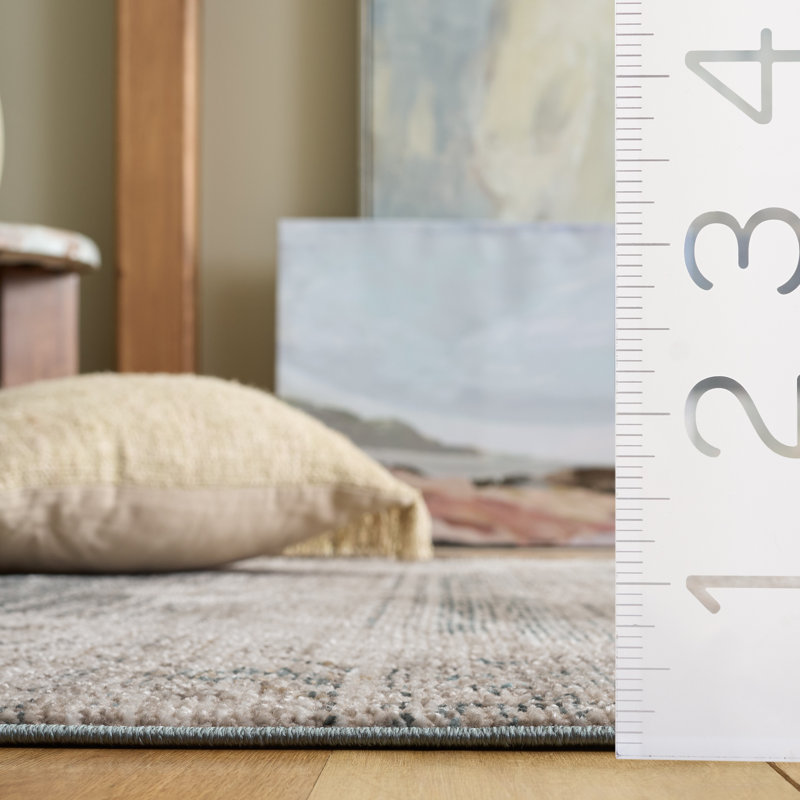 Hazel 520 Performance Oriental Rug, Square 6'