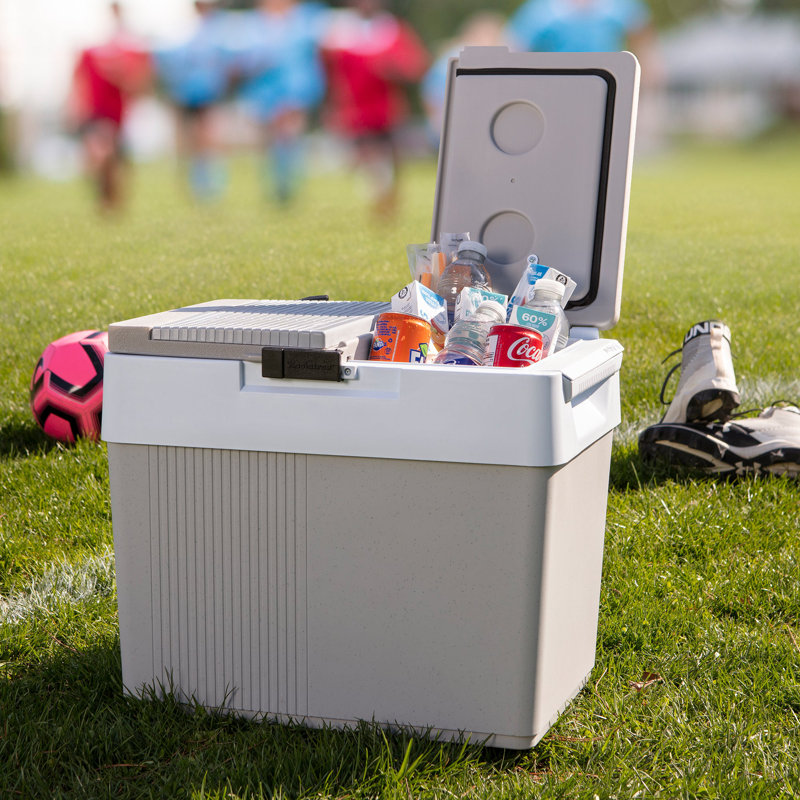 Ebern Designs 31L Ice Chest in Grey