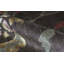 One-of-a-Kind 7'10" X 10'2" Area Rug