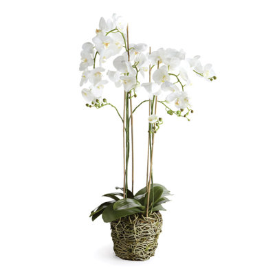 Conservatory Faux Orchid Plant