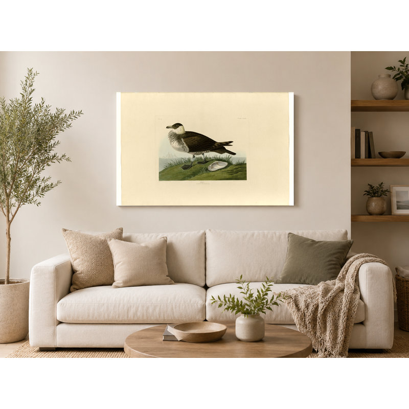 Jager, plaque 253 (Lestris Pomarinus) - art mural sur toile paysage, 14" W x 11" H