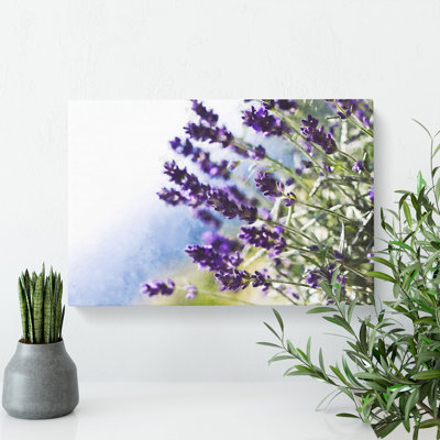 Lavender Vol.2 - Wrapped Canvas Print