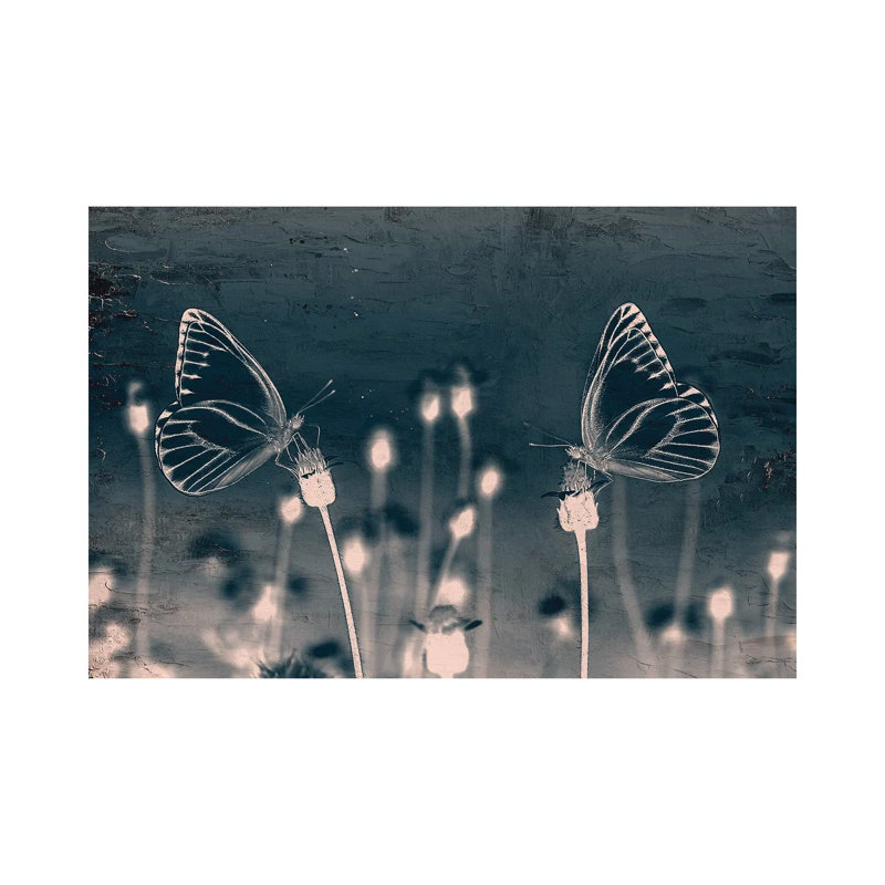 Butterfly Love by Kimberly Allen - Wrapped Canvas Print, 20.32 cm H x 30.48 cm W