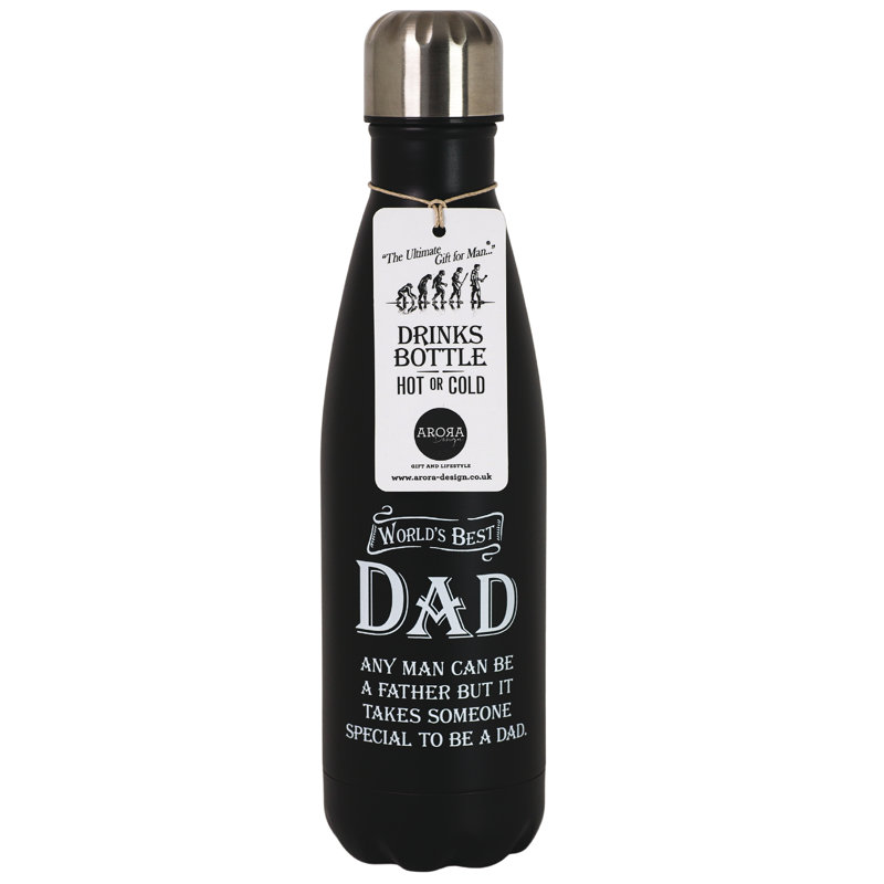 Dad 17oz Insulated Stainless Steel Water Bottle