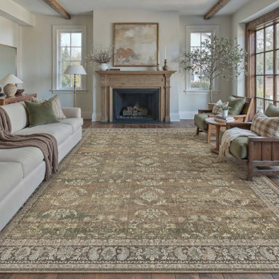 Kitty Machine Washable Oriental Area Rug for Living Room with Non-Slip Backing