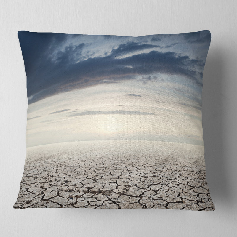 Coussin décoratif Landscape Photo, H 16 po x l 16 po